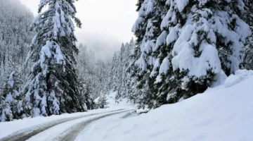 تساقط كثيف للثلوج يضرب 5 ولايات شمالية